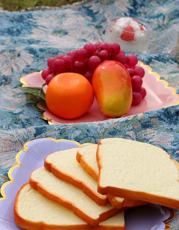 Manta de picnic para exteriores con borlas y estampado de flores azules