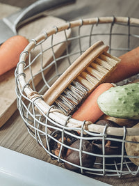 Brosse à fruits et légumes Kitken