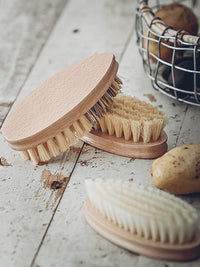 Brosse à fruits et légumes Kitken