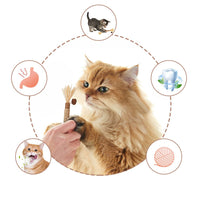 Jouet pour chat en bois naturel nettoyant les dents à l'herbe à chat