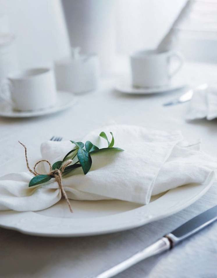 Countryside Style Linen Napkin (PACK OF 2)