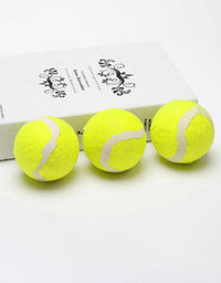 Pelota de entrenamiento para mascotas, juguete de tenis resistente para perros